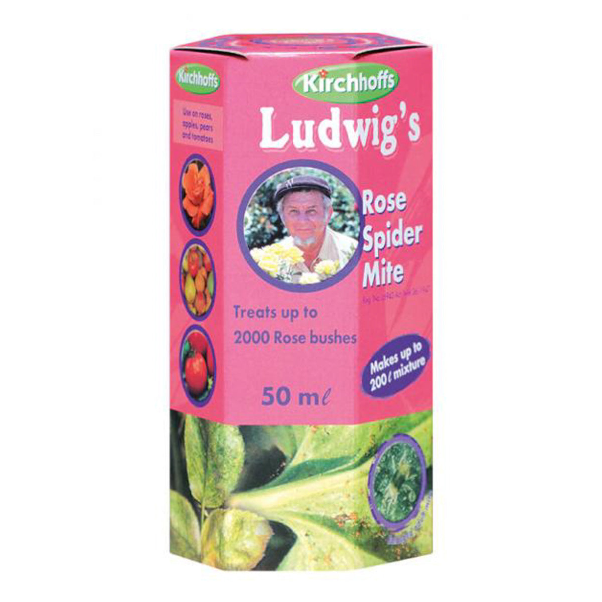 Ludwig's Rose Spider Mite main image 0