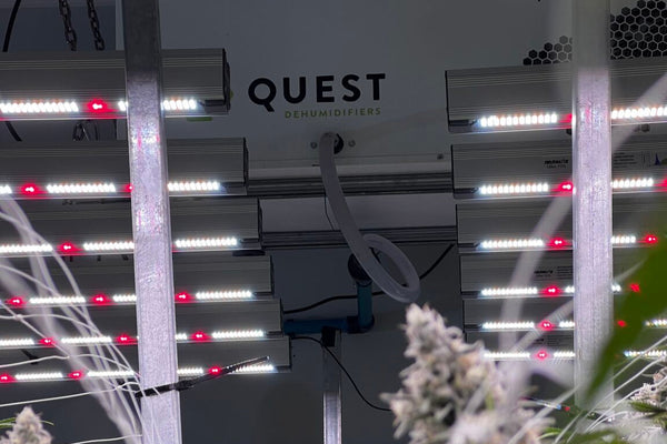 Dehumidification 101 – Part 2 : The innovative QUEST dehumidification process