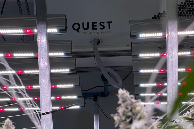 Dehumidification 101 – Part 2 : The innovative QUEST dehumidification process