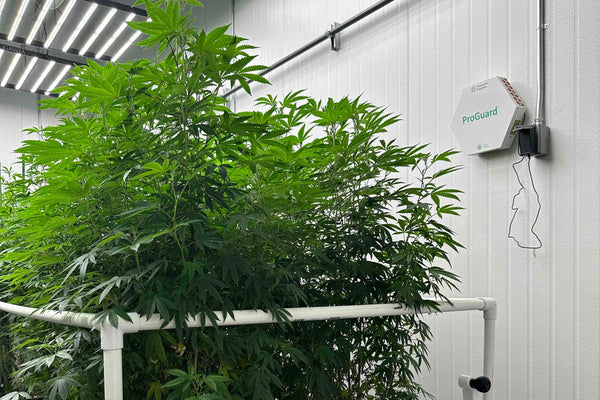 ProGuard FAQ