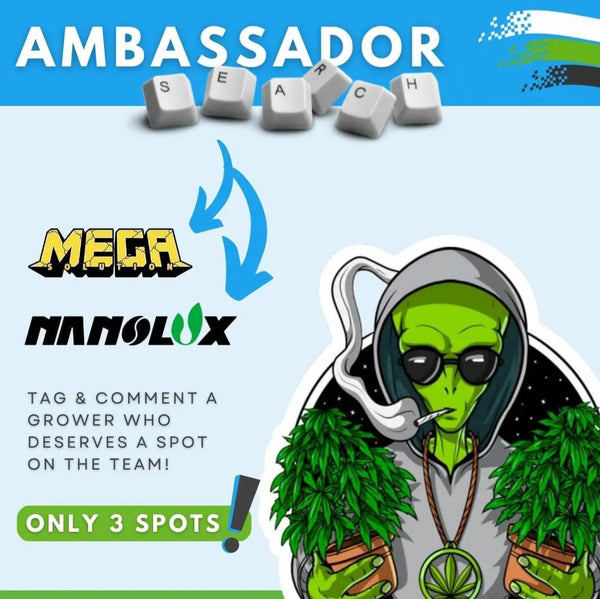 5 + 3 = 8 Hydrobiz ambassadors