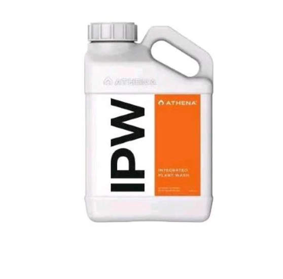 Athena IPW