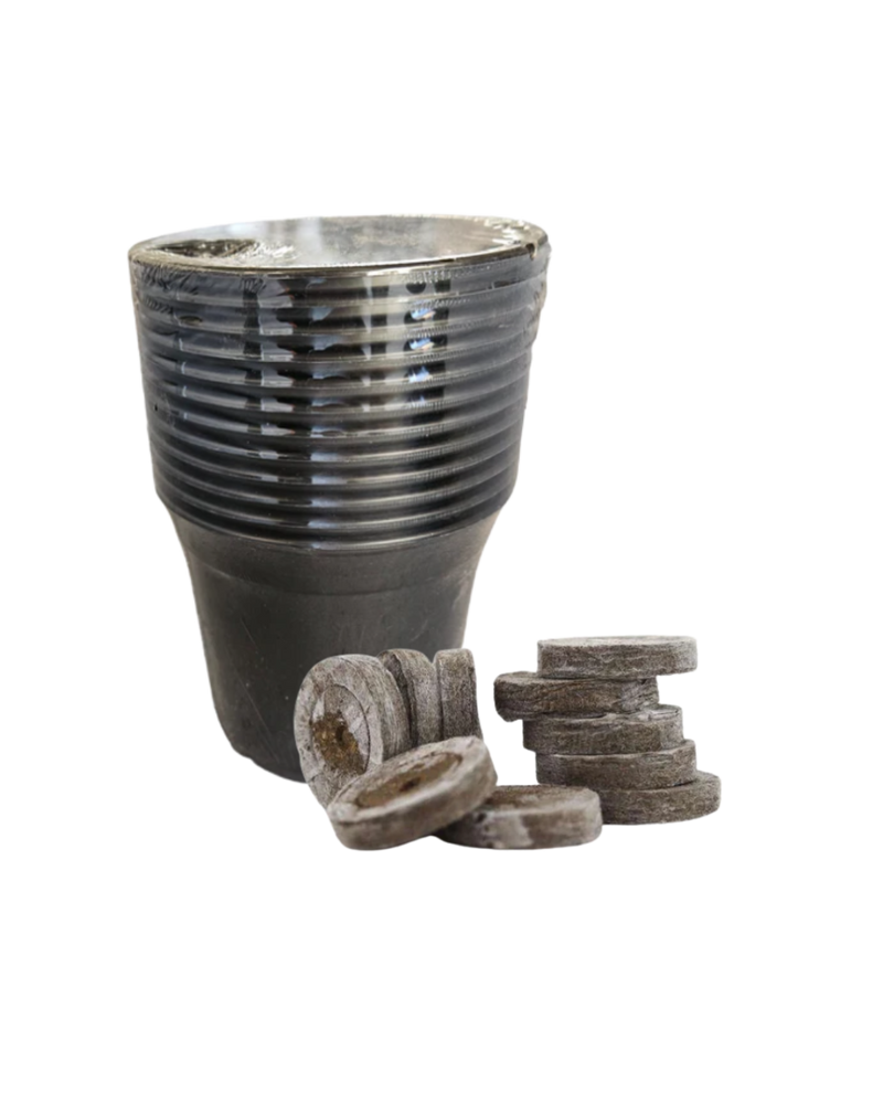 Jiffy 41mm Prepack 20 + 9cm Container Pot x 15