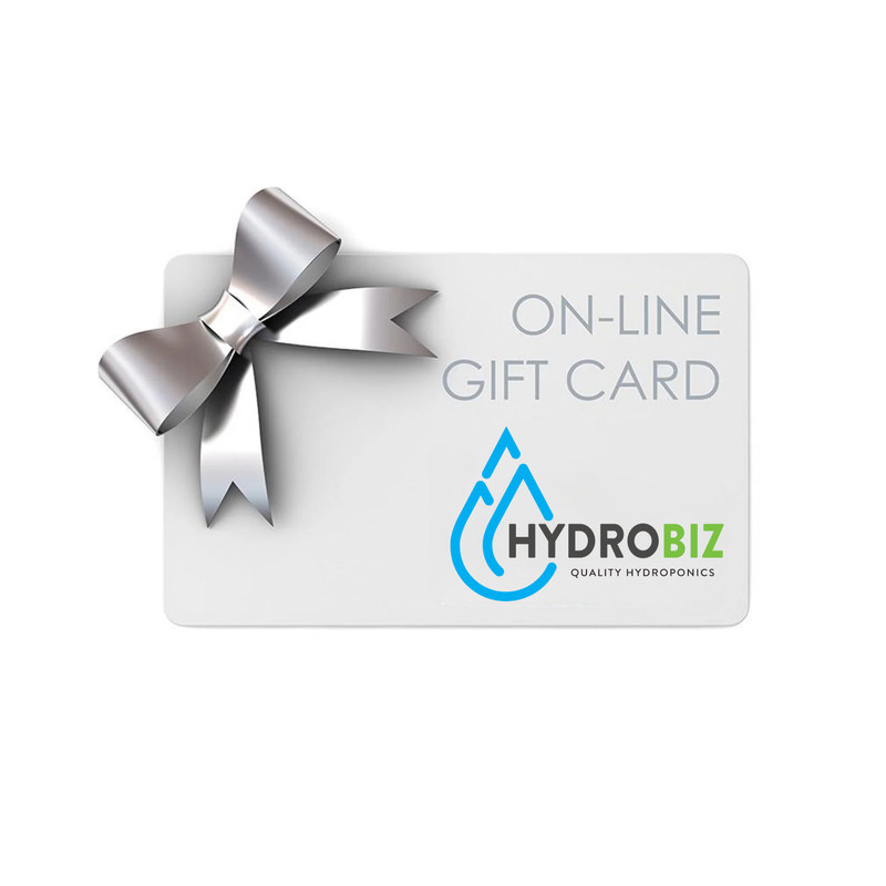 Gift Card for flexible purchasing options, allowing the recipient to choose from a variety of products or services.