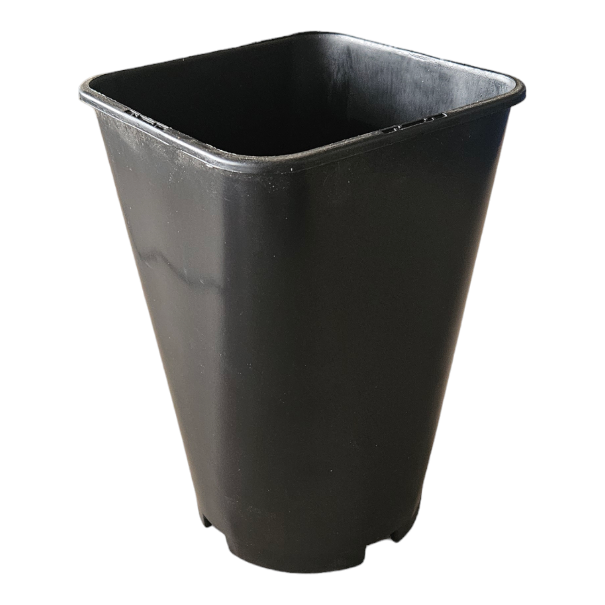 Rose Pot Orsa | Hydrobiz