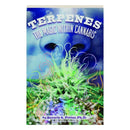 Endocannabinoid System And Cannabis - Johnson