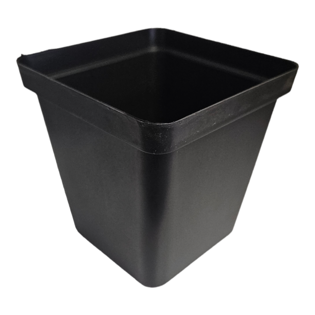 Bien POT BLACK エディション10 Square Pot - 10cm x 10cm Black | Hydrobiz