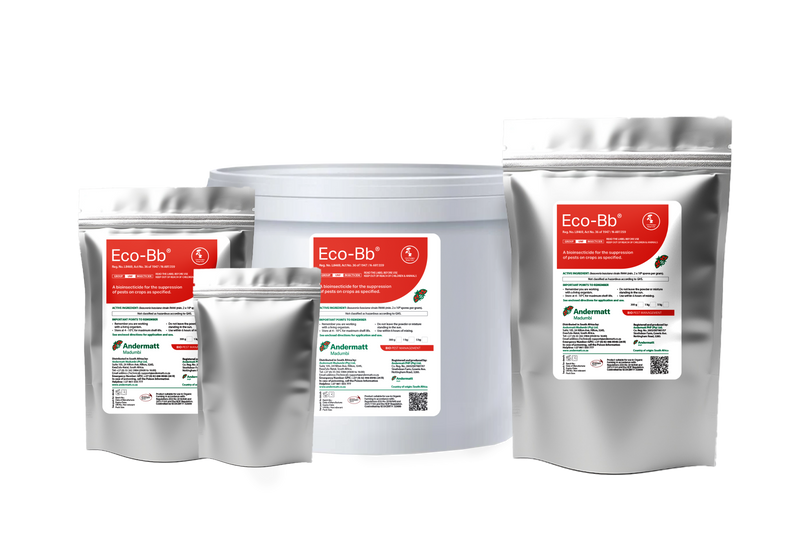 Eco BB for organic pest control, utilizing natural solutions to manage and prevent insect infestations.