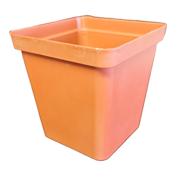 Square Pot - 10cm X 10cm Terracota
