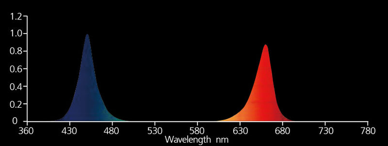 Nanolux blue/red combo lighting bar for balanced vegetative and flowering plant growth.
