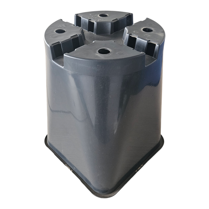Rose Pot Orsa