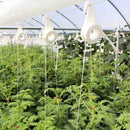 Bobbin - Bundle of 10