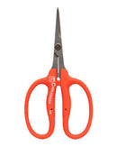 Chikamasa straight blade scissors for precision trimming of cannabis plants, herbs, and flowers during harvest.