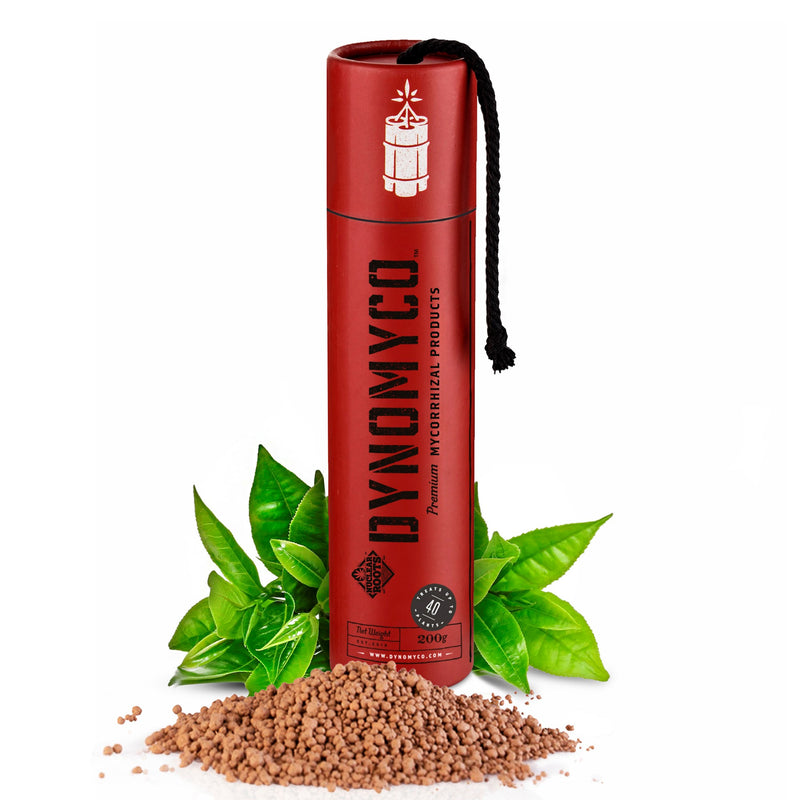 Dynomyco Premium Mycorrhizal Inoculant