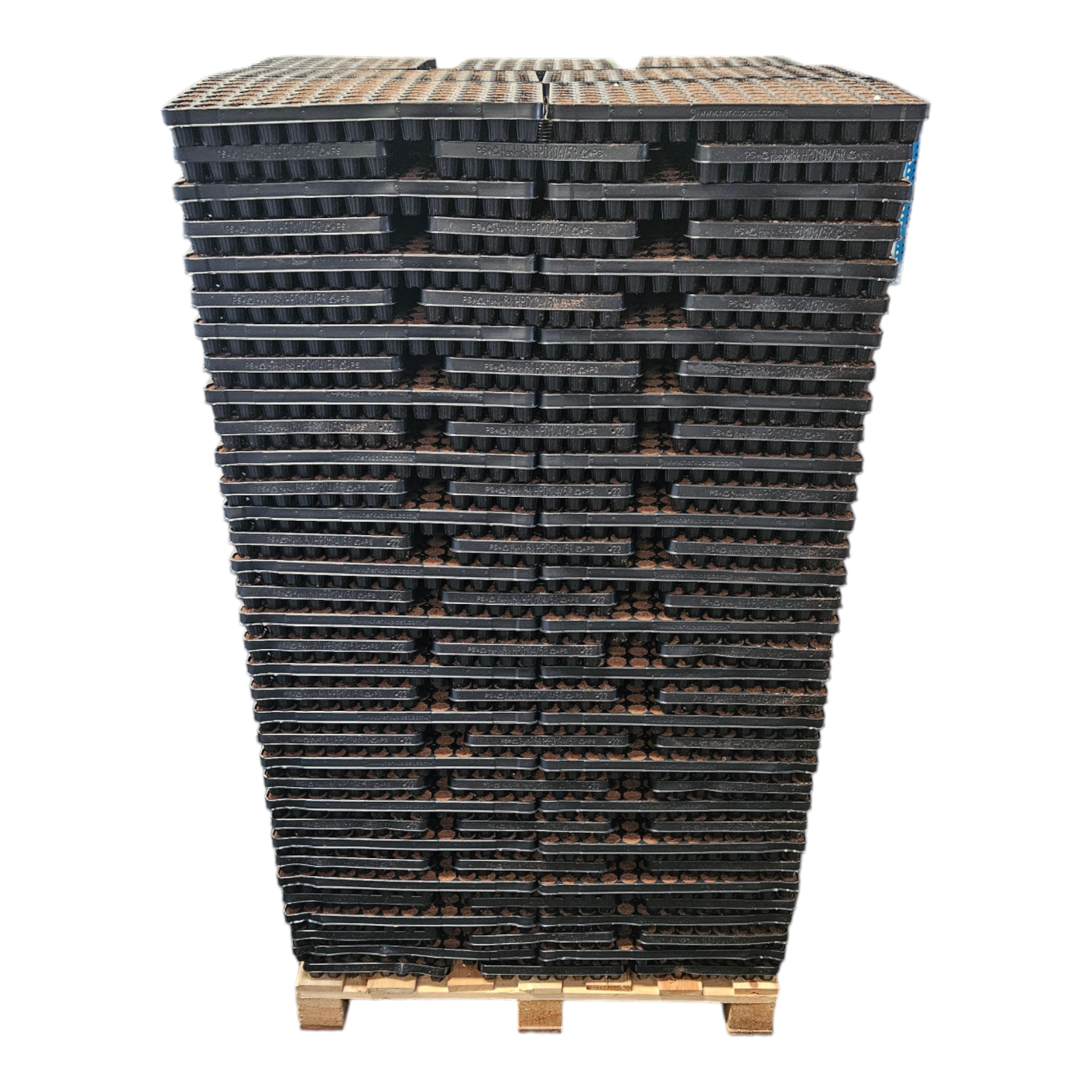Quick Plug 35ml Dry - 104 Cavity Tray Unwrapped | Hydrobiz