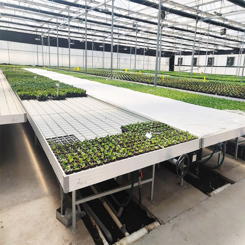 1.55m x 2.9m rolling bench for efficient plant management in grow rooms.