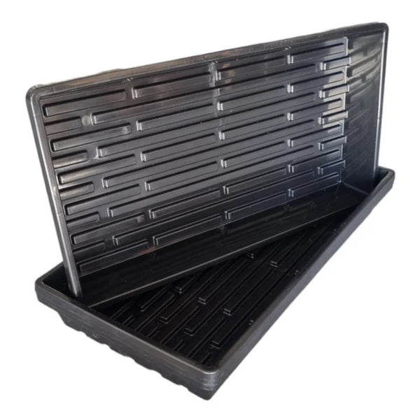 Microgreens Open Tray 53 x 27 x 5 cm for growing and harvesting microgreens with ample space and easy access.