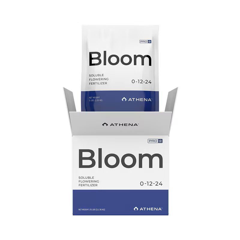 Athena Pro – Bloom