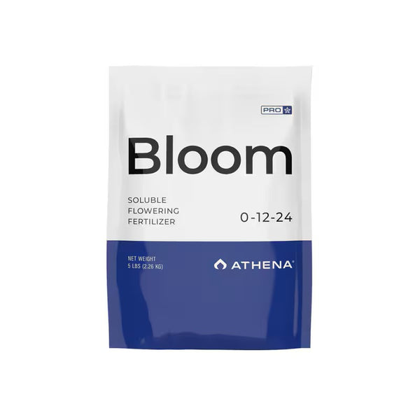 Athena Pro – Bloom