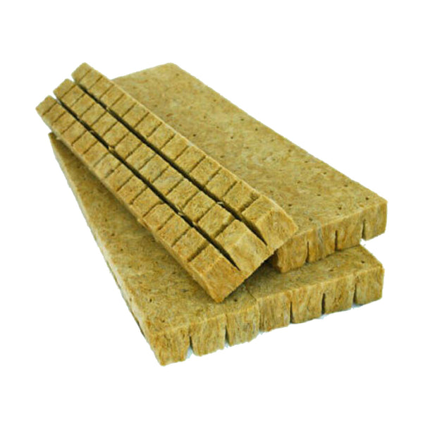 Rock Wool Cube slab of 98, provides excellent moisture retention and aeration for optimal root growth.