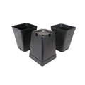 Durable square pot ideal for seedlings and small plants. Promotes healthy root growth with ample space and excellent drainage.