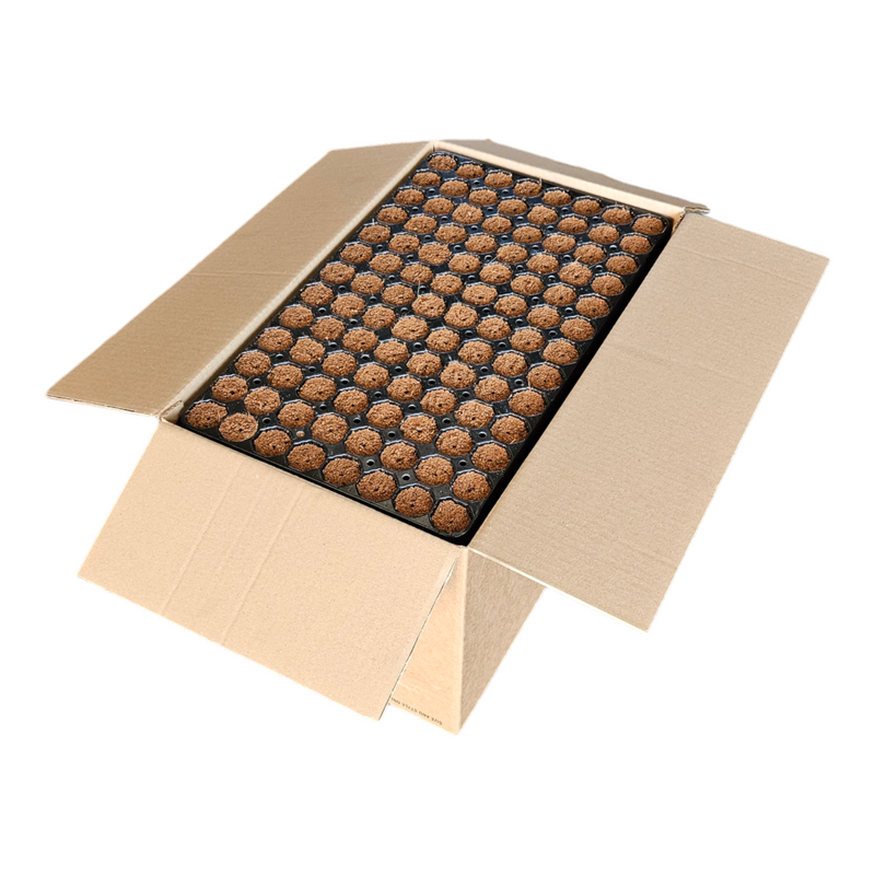 High-quality peat and coir plug for optimal moisture and aeration, promoting fast rooting and healthy plant growth.