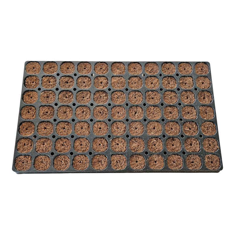 High-quality peat and coir plug for optimal moisture and aeration, promoting fast rooting and healthy plant growth.