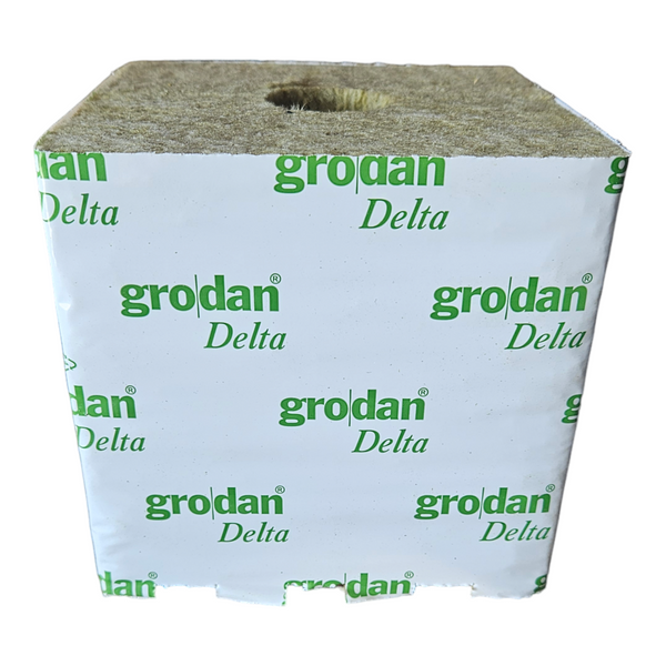 Grodan Delta 10 x 10 rock wool cube, ideal for seedlings with superior moisture retention and aeration.