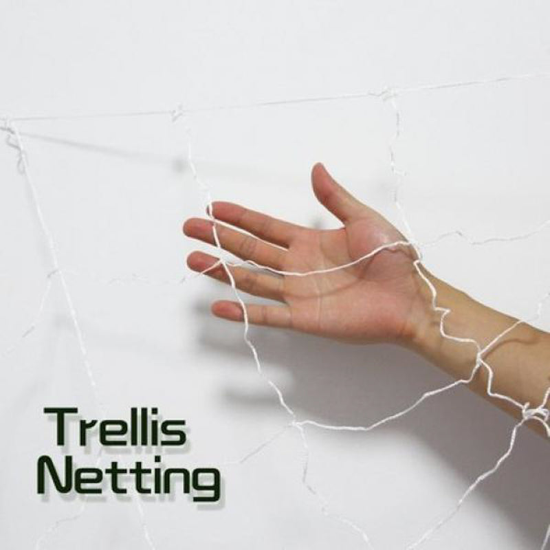 TRELLIS NET